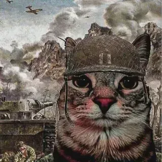 Imagem do usuário